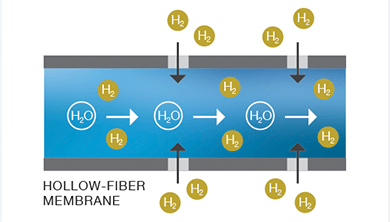 Harmful Results of Oxidation